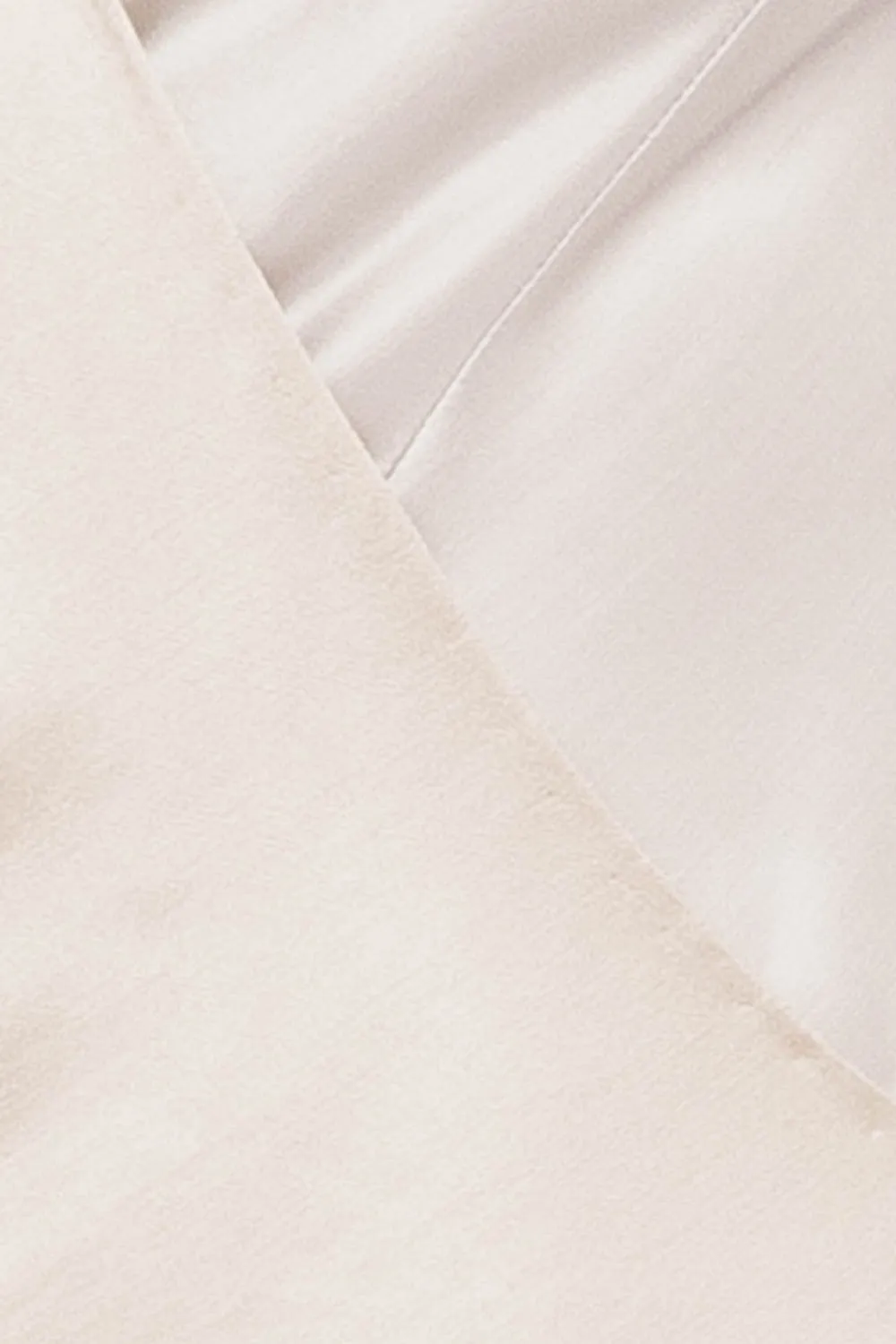 Nina Ricci - Silver and Beige Long Gown with Feathers - FR 38